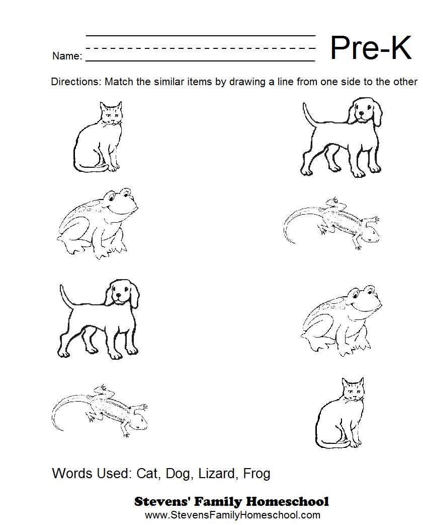 6 Best Images Of Free Printable Pre K Math Worksheets Pre K Math 