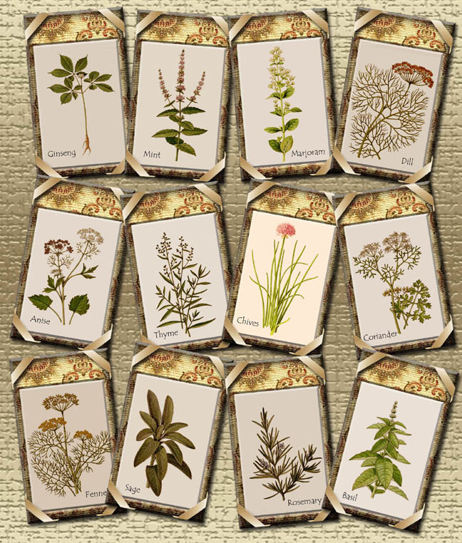 4 Best Images Of Herb Garden Labels Printable Free Herb Garden Labels