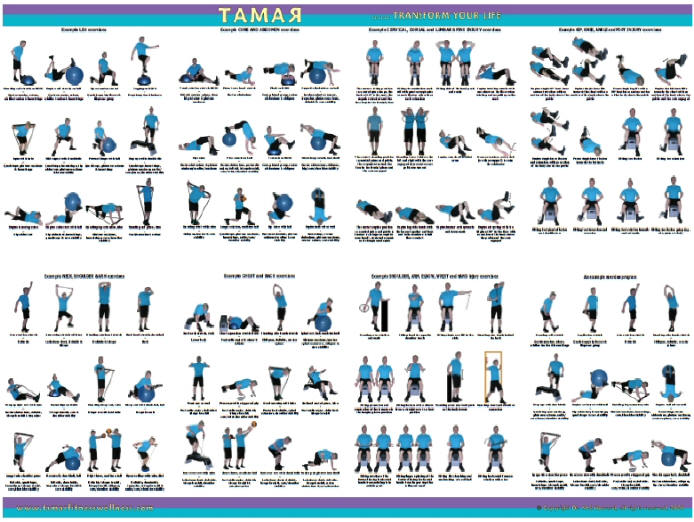 6 Best Images Of Printable Weight Lifting Routines Weight Lifting 