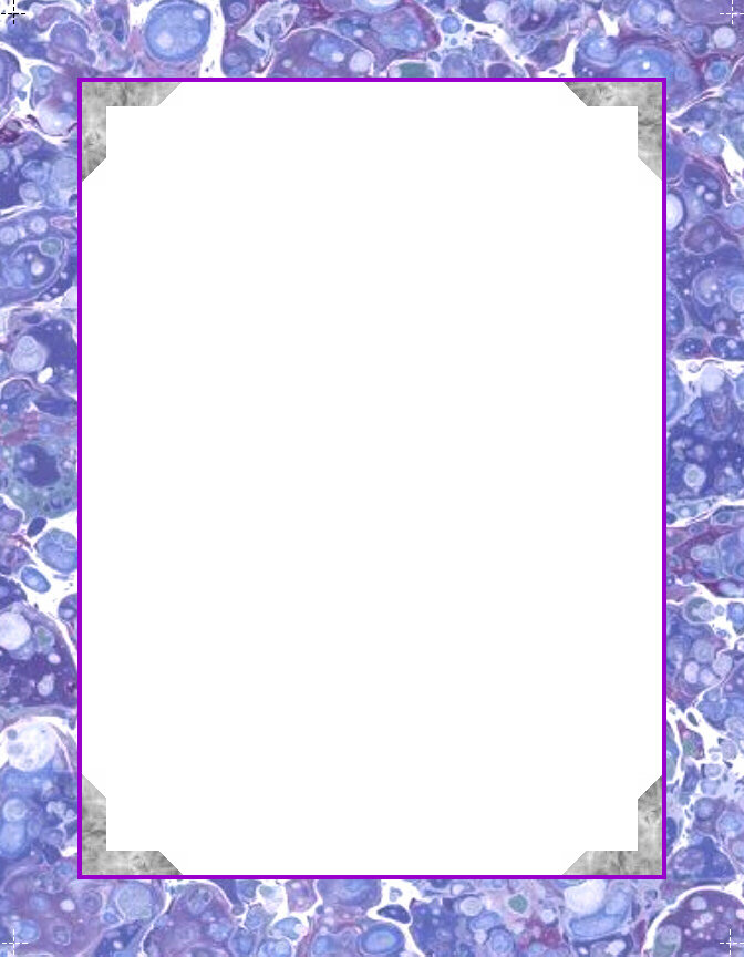 5 Best Images Of Free Printable Borders And Frames Free Wedding Invitation Borders And Frames 