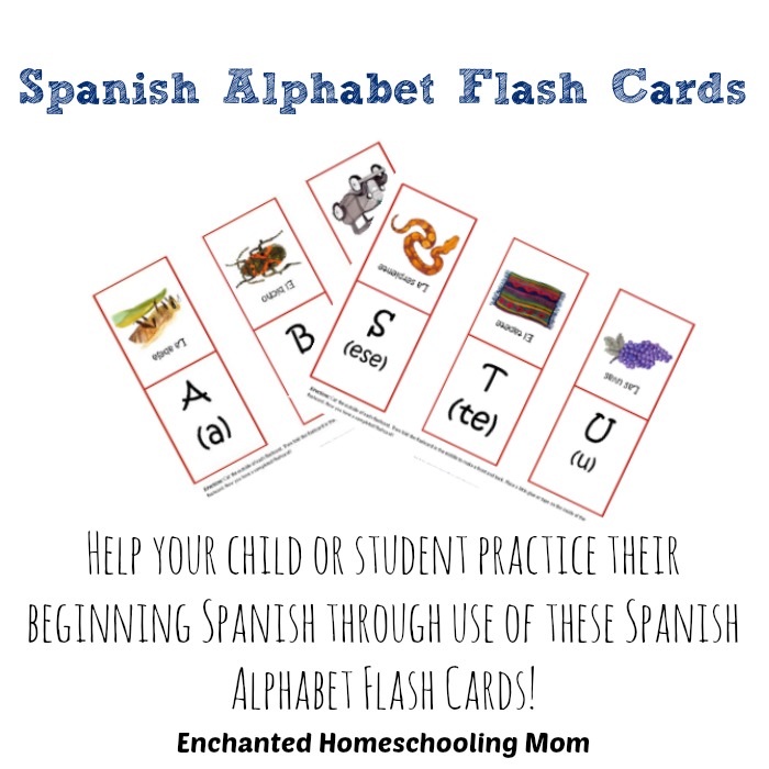 7 Best Images Of Spanish Alphabet Flash Cards Printable Free Printable Spanish Alphabet Flash 