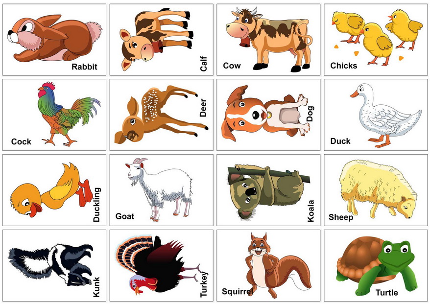 Free Printable Animal Pictures For Toddlers