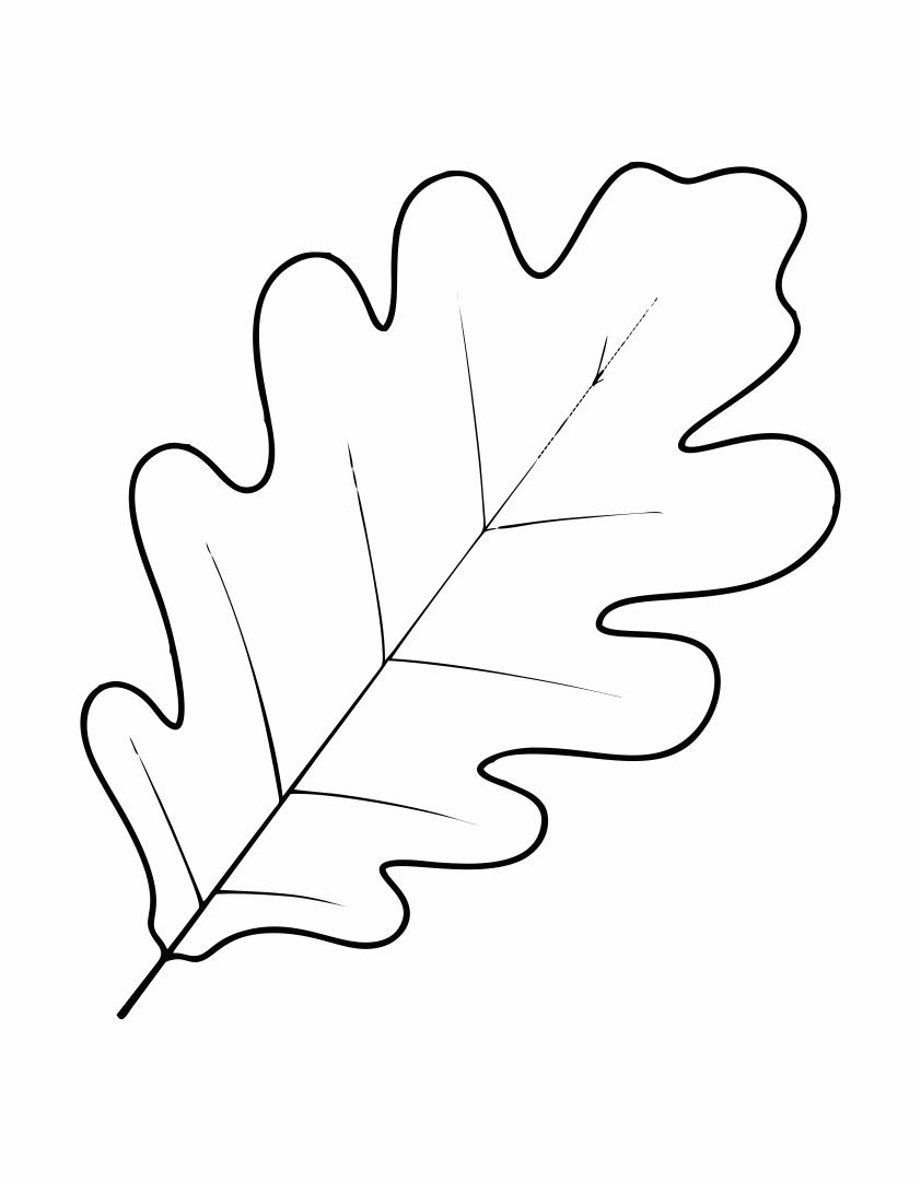 Large Oak Leaf Printable Template