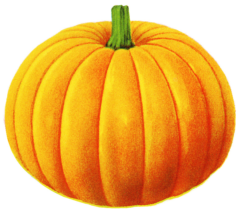 8-best-images-of-pumpkins-clip-art-printable-plain-pumpkin-clip-art