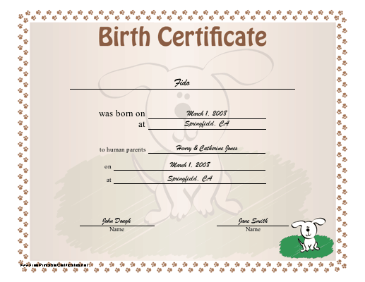 4 Best Images Of Birth Certificate Template Printable Baby Birth 