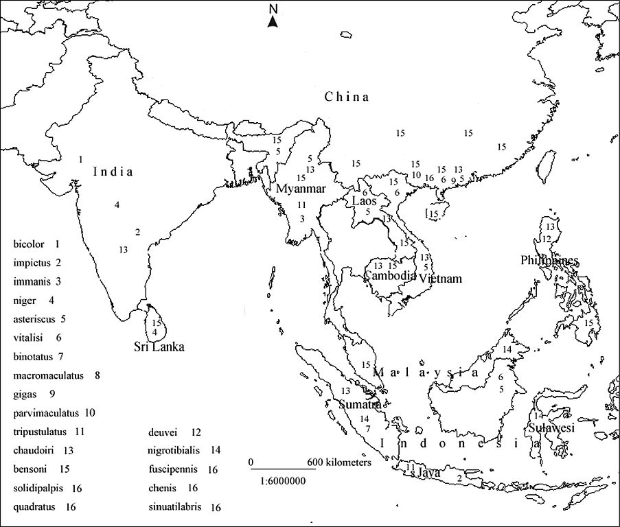 Free Printable Map Of East Asia