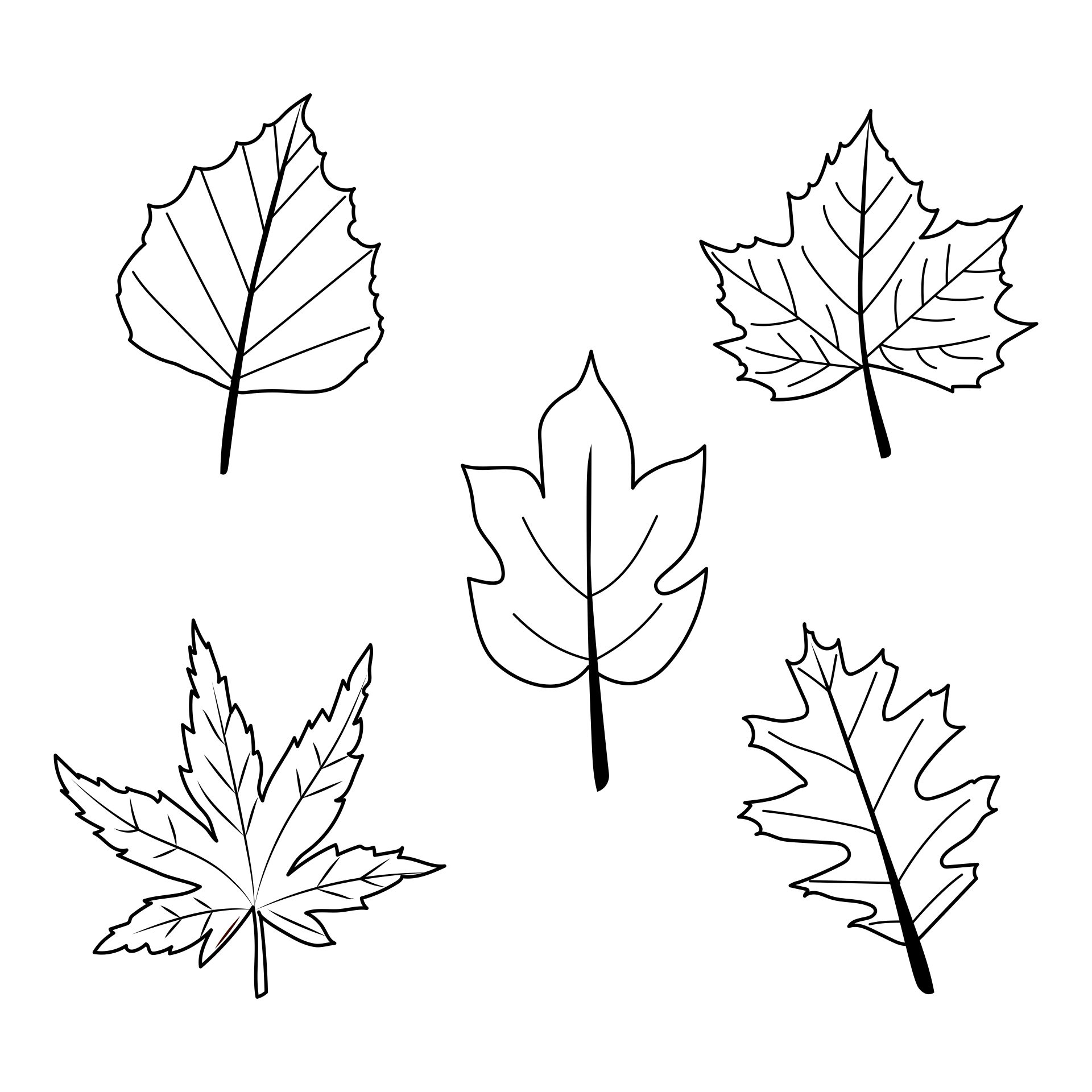 5 Best Images Of Printable Fall Leaves Shapes Printable Leaf Shapes Fall Leaves Templates 