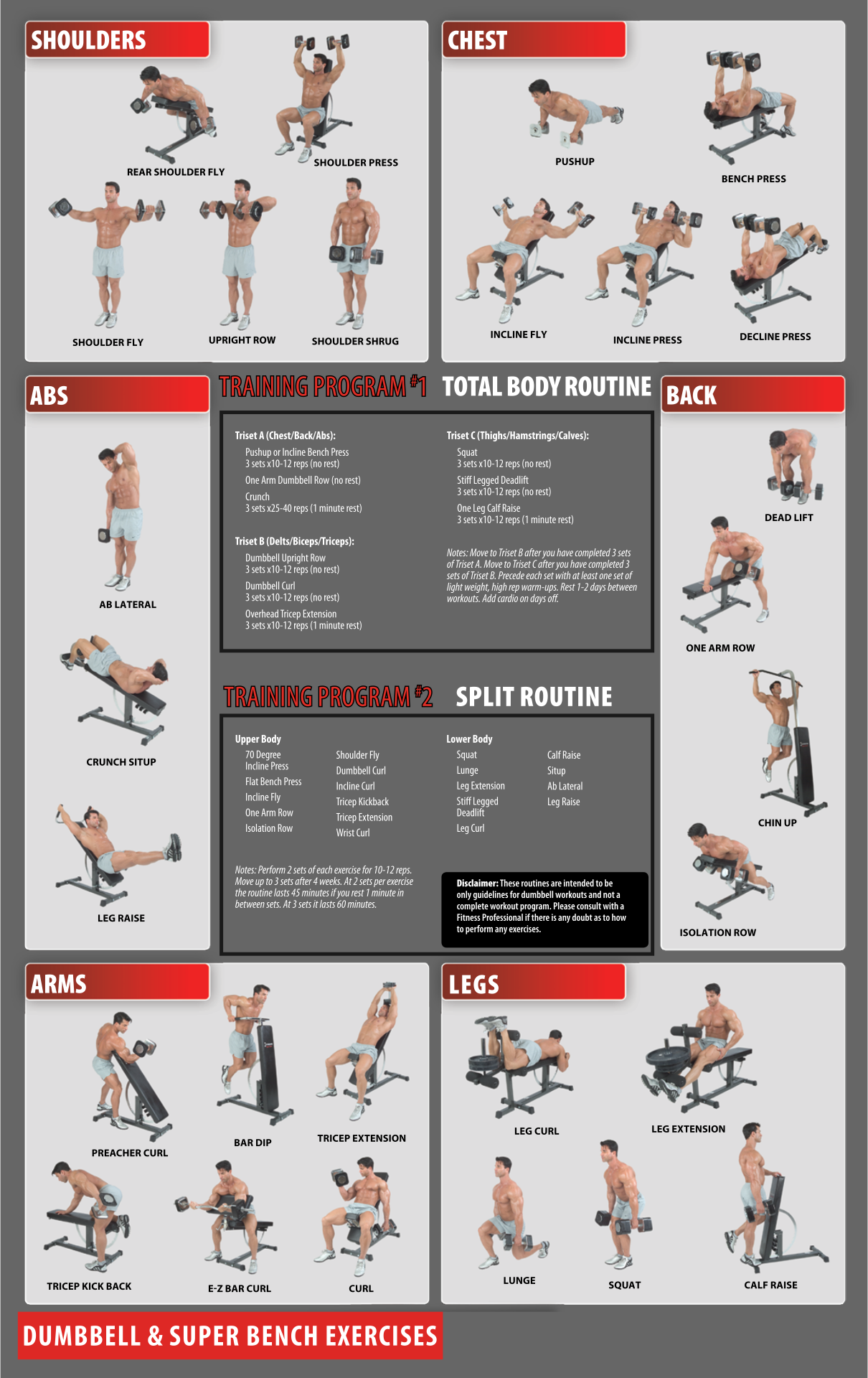 Dumbbell Exercise Chart Printable Free Printable Templates