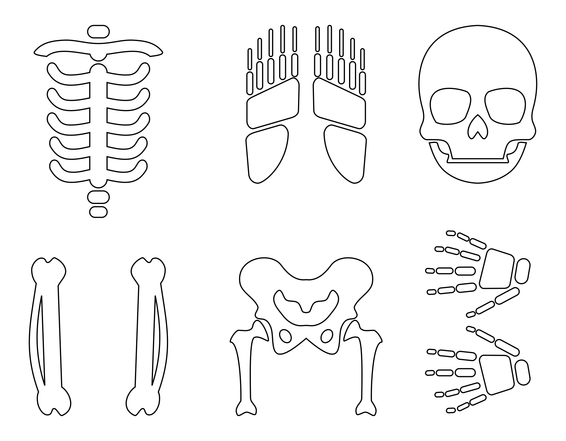 Cut Out Printable Skeleton Bones Template Download Skeleton Word