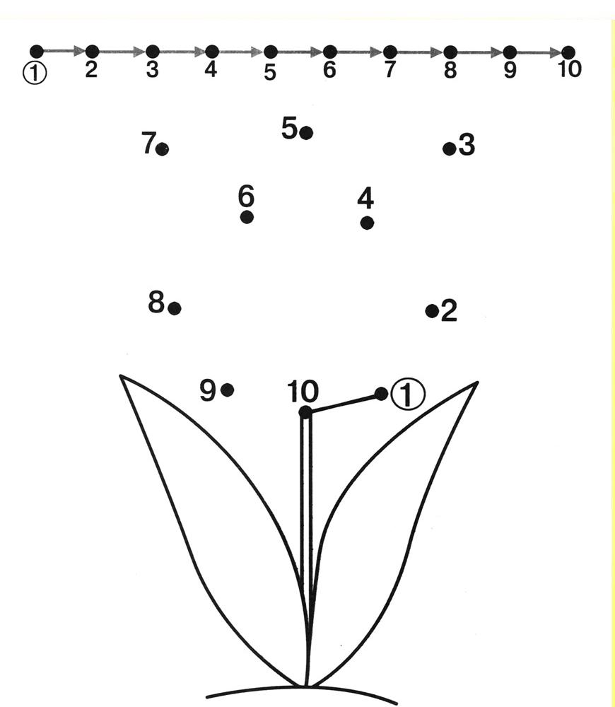 7 Best Images Of Preschool Printables 0 10 Printable Dot To Dot Number 1 Tracing Worksheets