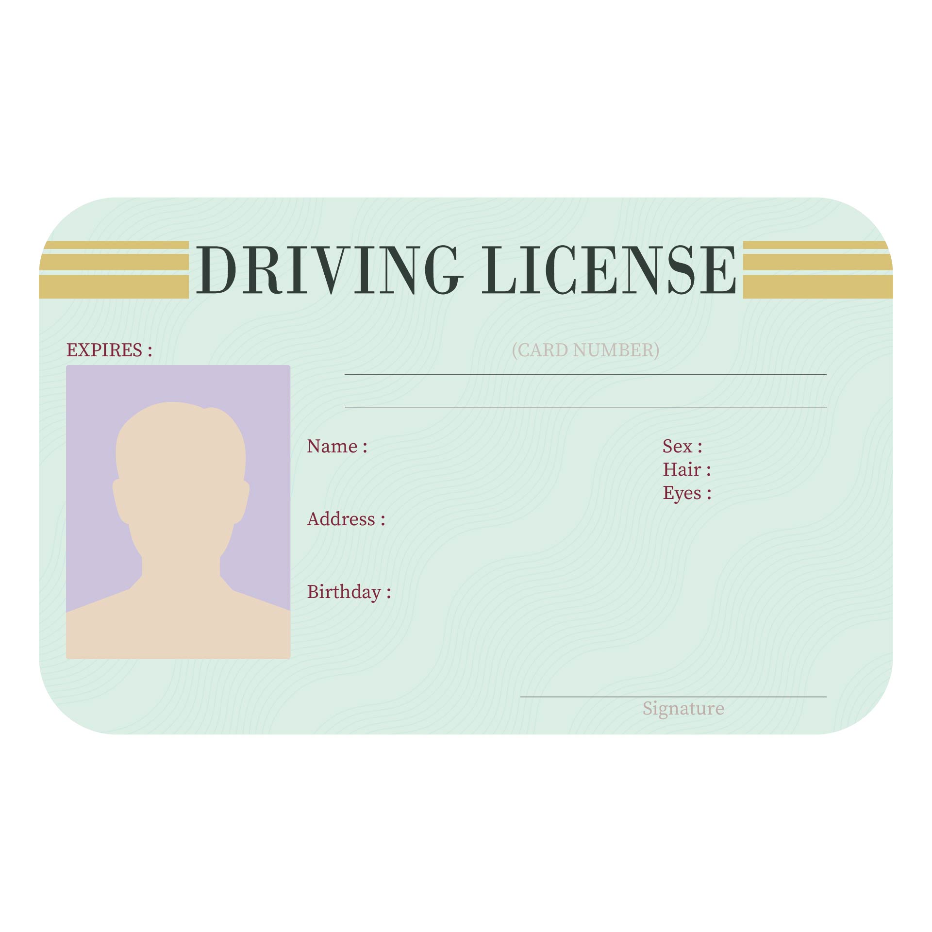 Free Printable Drivers License Template Free Templates Printable