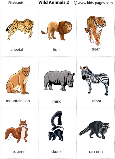 7 Best Images Of Printable Animal Pictures For Preschoolers Printable 