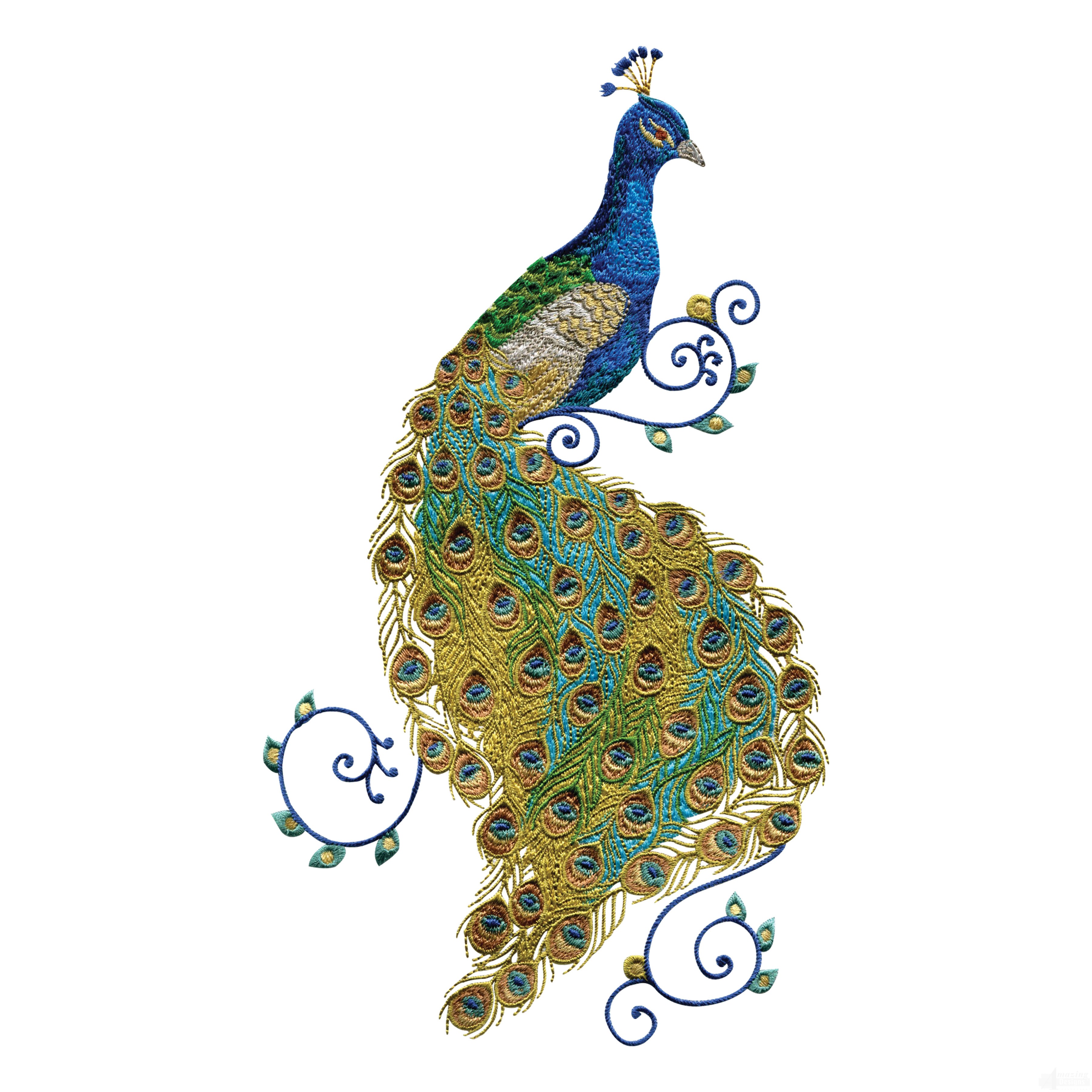 7 Best Images Of Free Printable Embroidery Patterns Peacocks Peacock Embroidery Designs