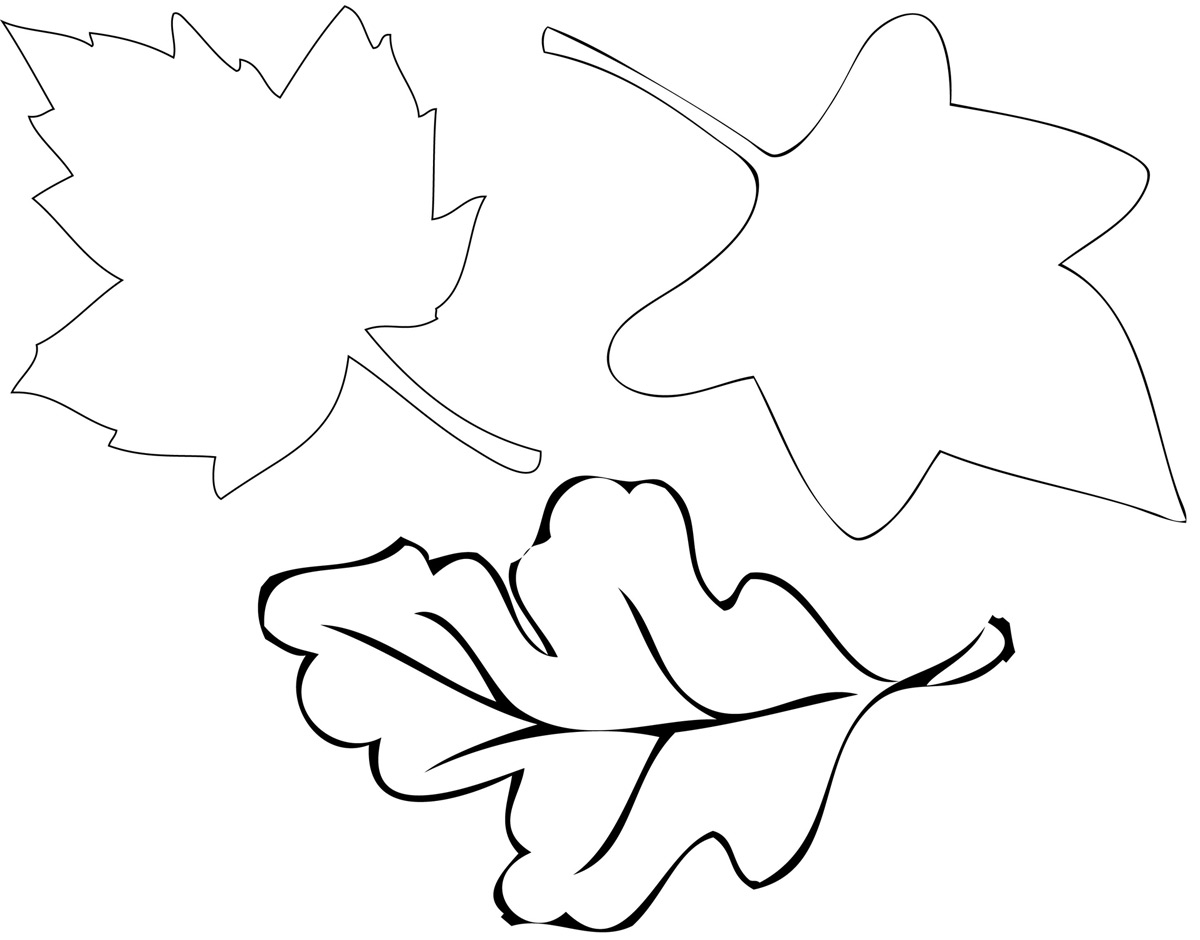 6 Best Images Of Leaf Tracers Printable Maple Leaf Coloring Page 