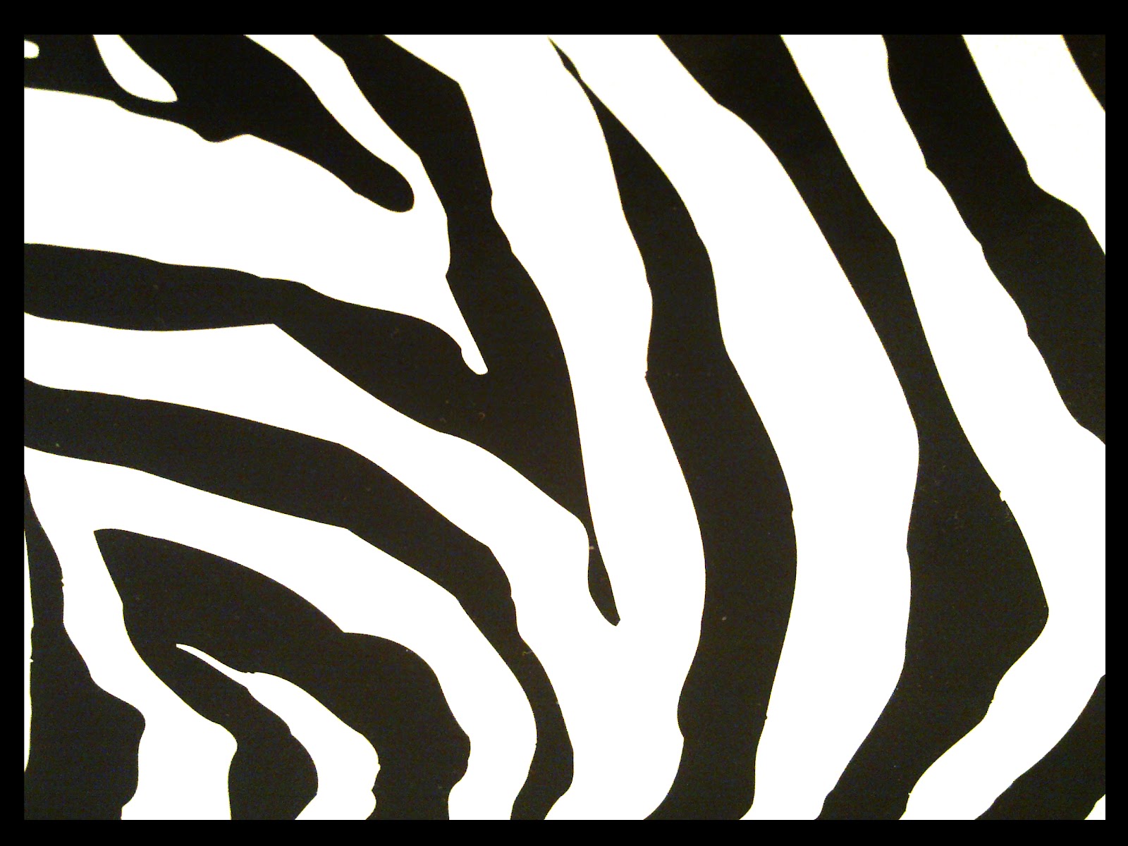 7 Best Images Of Zebra Stripes Template Printable Zebra Stripe Print Template Zebra Template