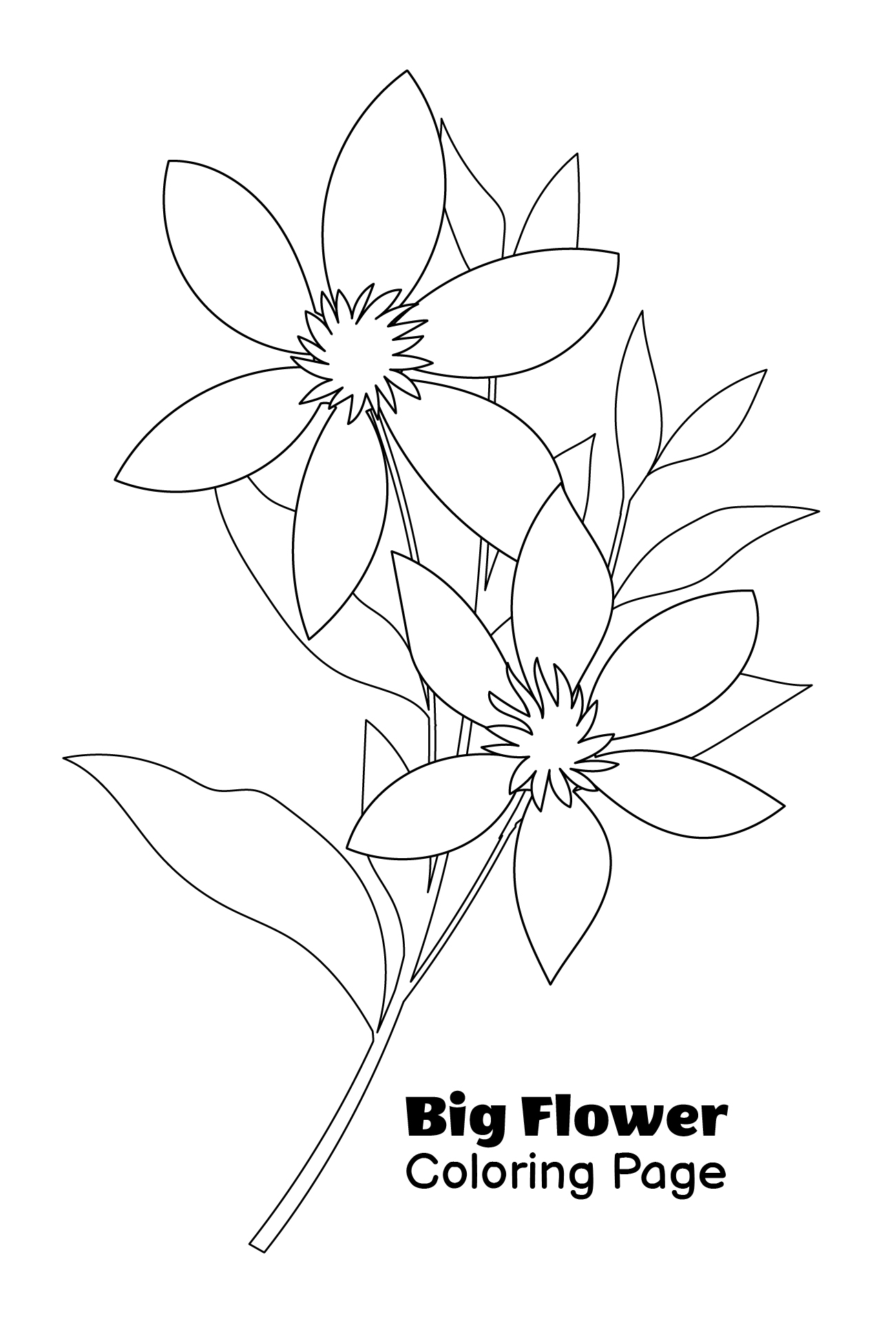 Coloring Page Of Big Flower