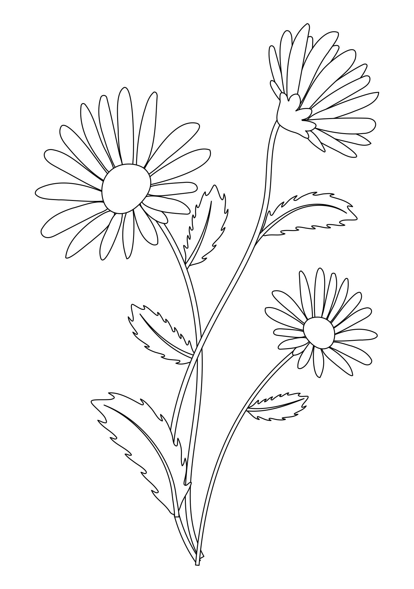 Daisy Flower Embroidery Pattern