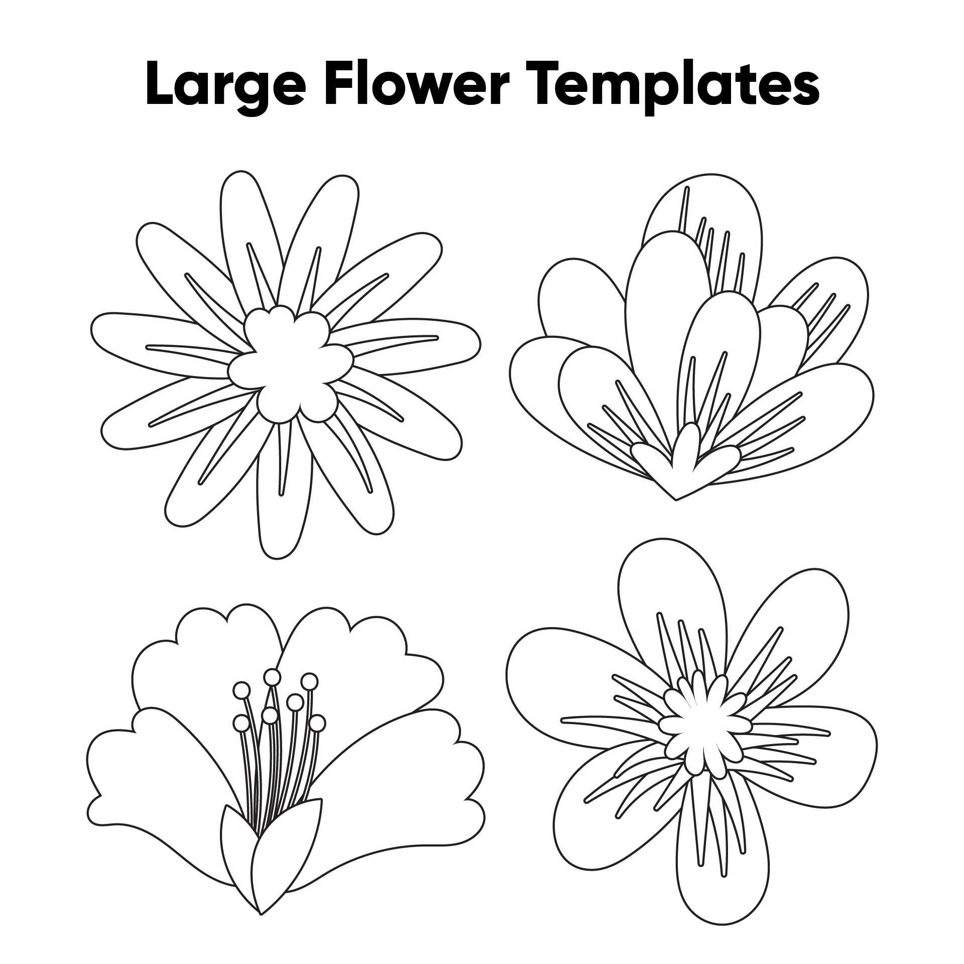 Set Of 4 Large Flower Templates