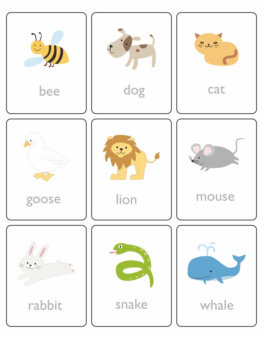 8 Best Images of Printable Clothes Flashcards For Toddlers - Free ...