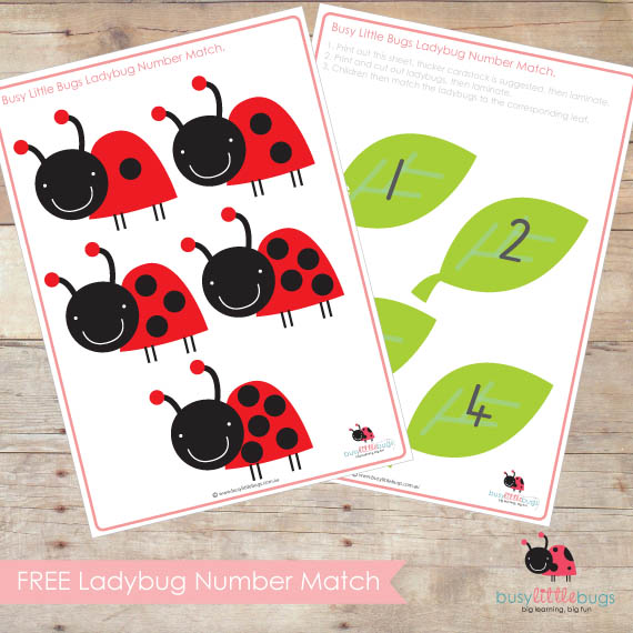 Lady Bug Number Match Game