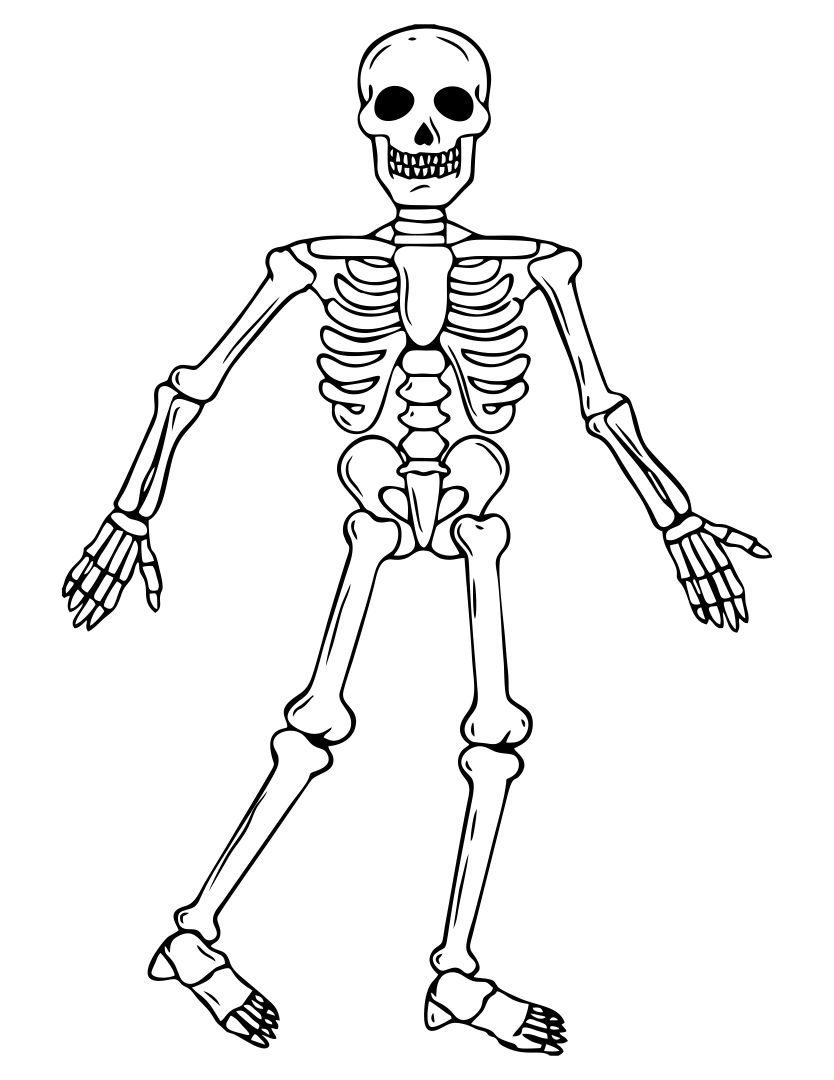 Halloween Skeleton Coloring Pages Printables