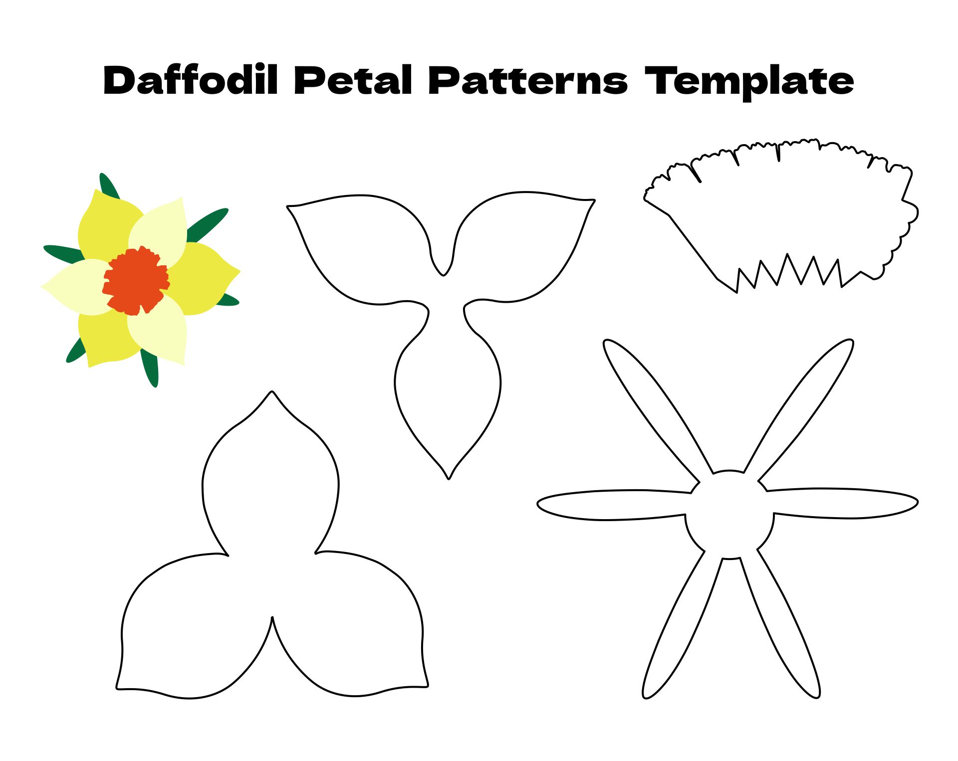 daffodil template