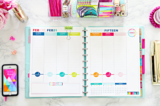 Daily Planner 2015