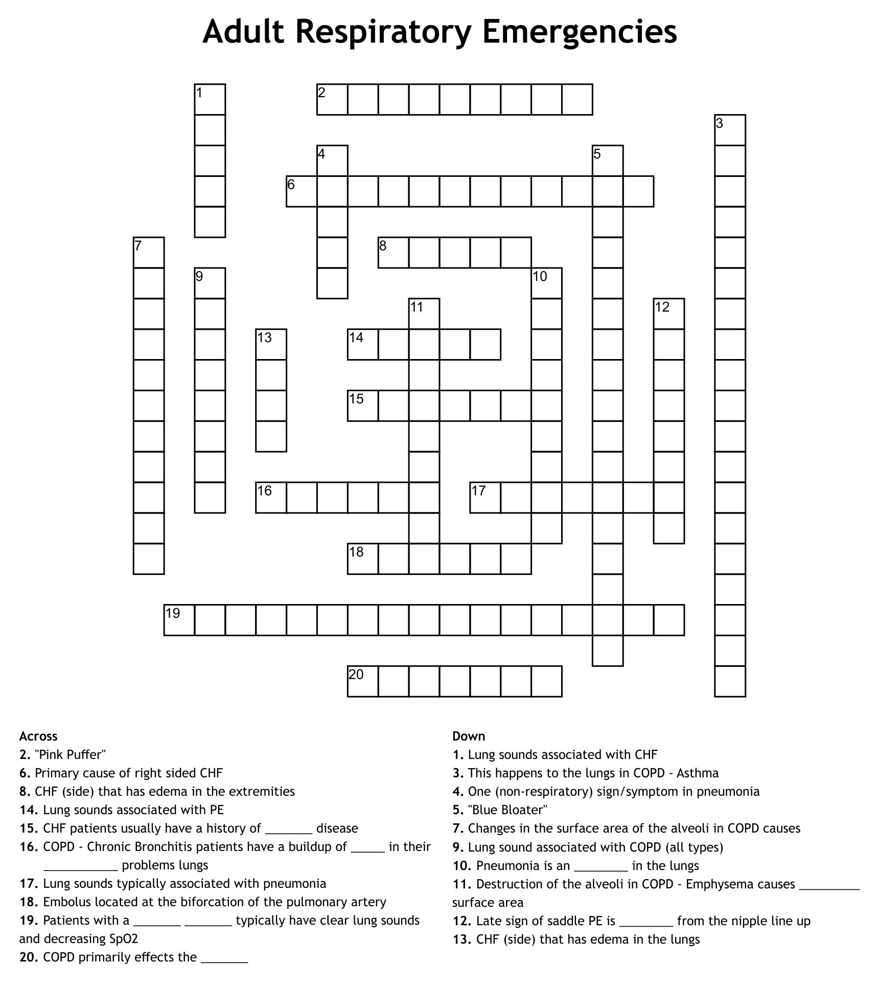 10 Best Sport Crossword Printable Printablee