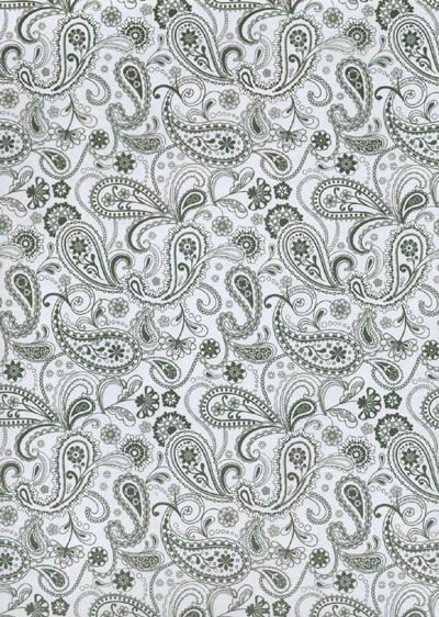 Black and White Paisley Paper