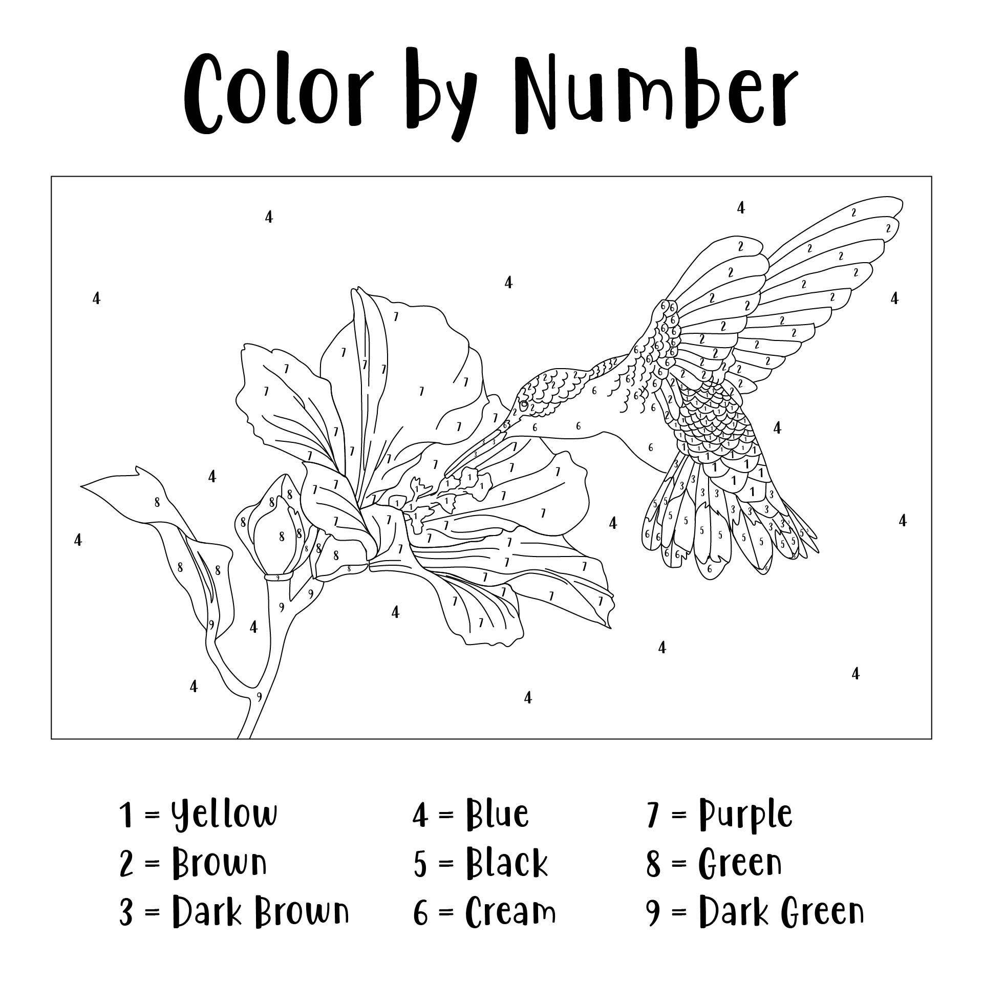 Printable Easy Paint By Numbers - Printable Blank World
