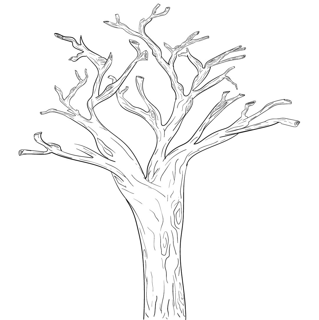 Tree Trunk Template Printable