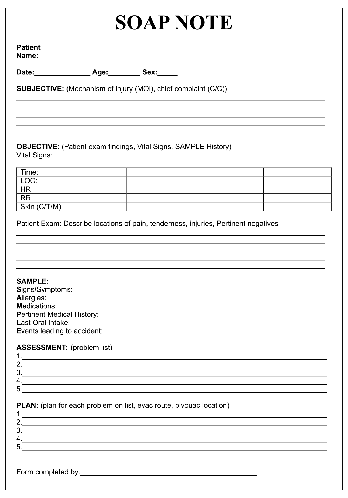Counseling Soap Note Templates 10 Free PDF Printables Printablee
