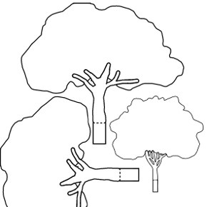 Woodland Trees Coloring Pages