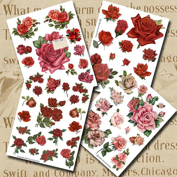 Red Roses Printable Pages
