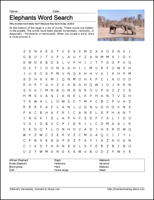 Elephant Word Search Printable