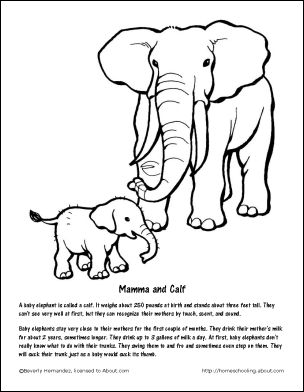 Printable Elephant Coloring Pages for Kids