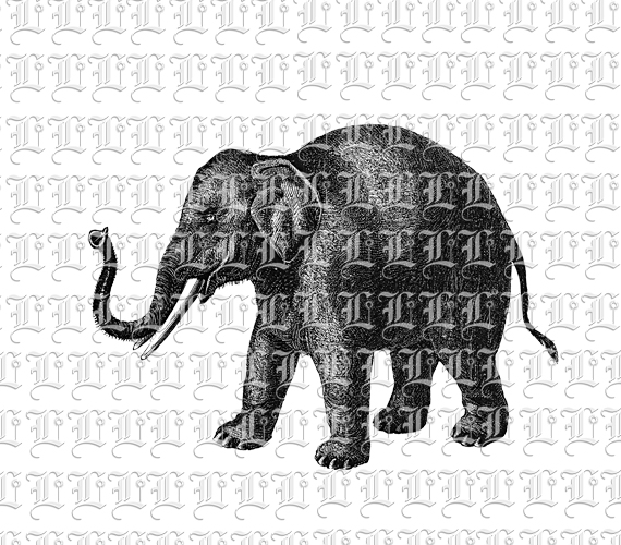 Elephant Animal Clip Art Black and White