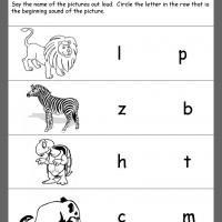 Printable Zoo Animal Worksheets