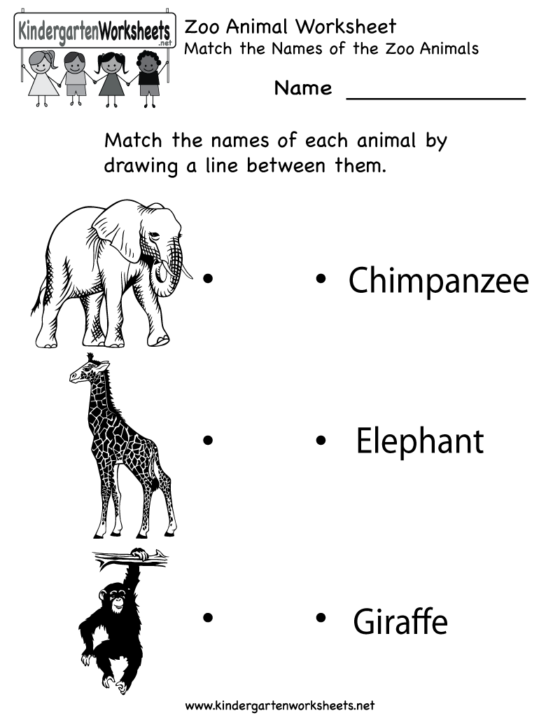 Zoo Animals Worksheets Printable