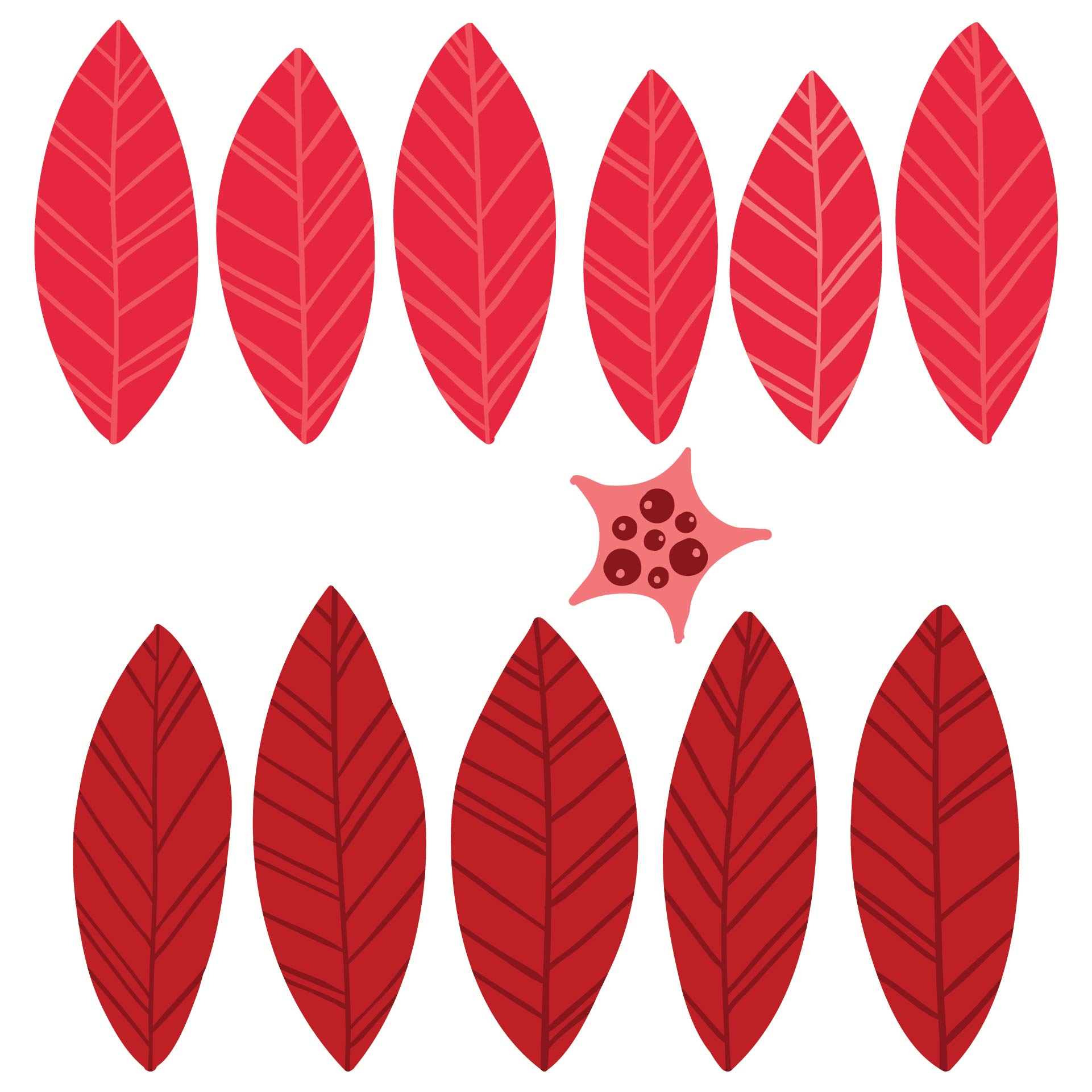 10 Best Poinsettia Flower Template Printable PDF For Free At Printablee