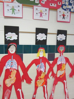 Unit First Grade Human Body