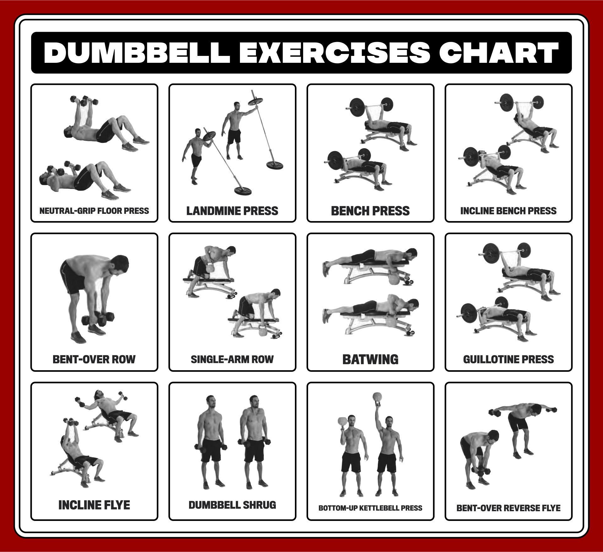 Dumbbell Exercises Chart 10 Free PDF Printables Printablee