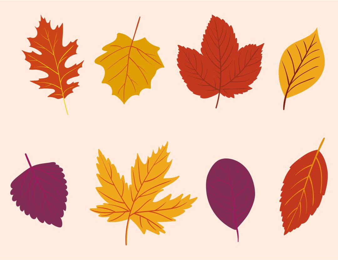 Fall Leaves Printables Printable Word Searches