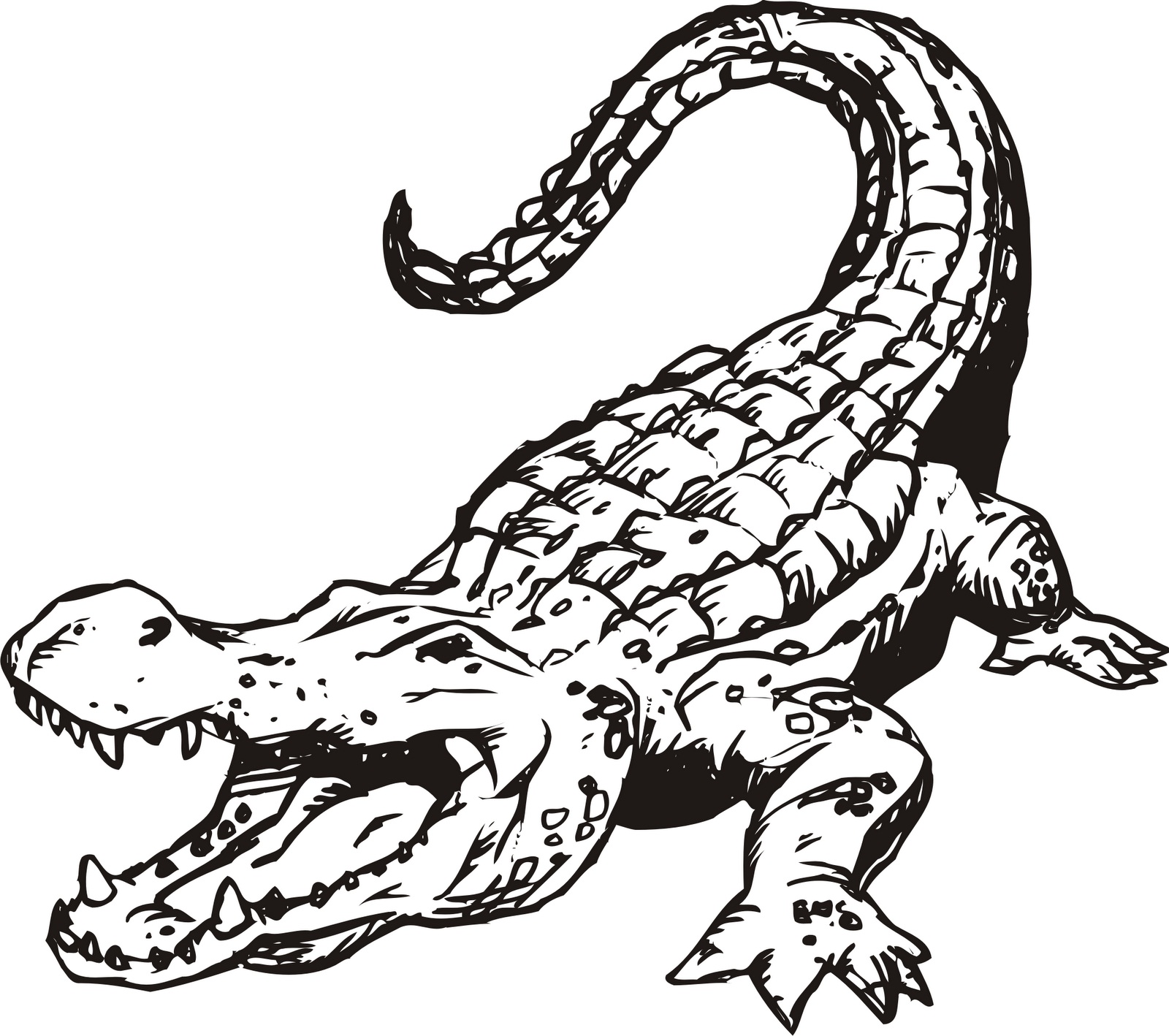 Printable Alligator Coloring Pages