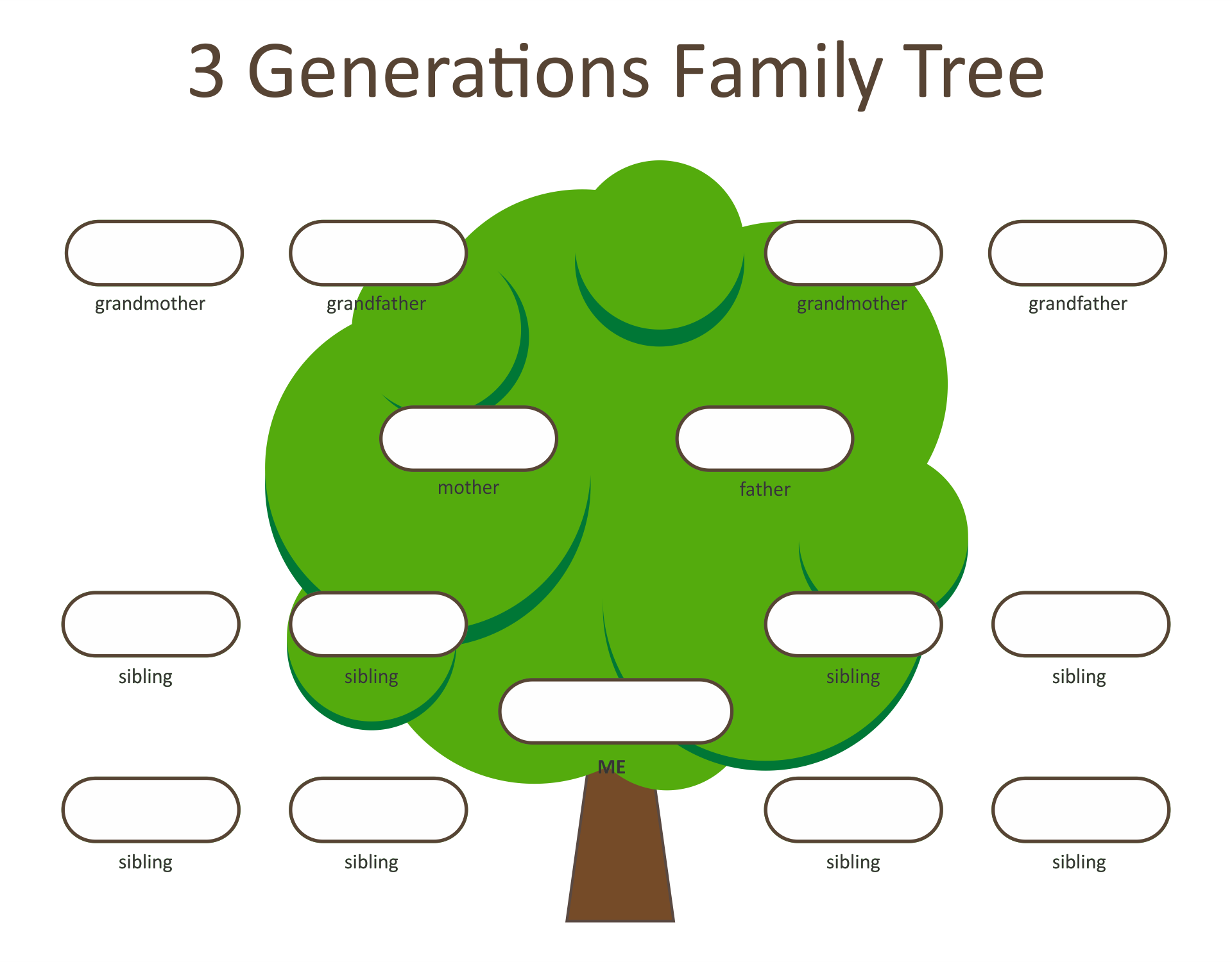 Decorative Family Tree 3 Generation Maker Template Printable