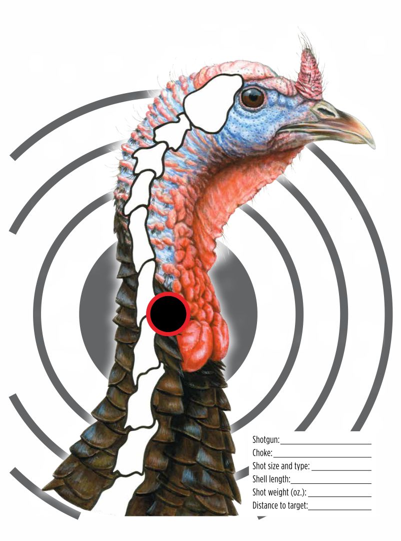 Printable Turkey Pattern Target