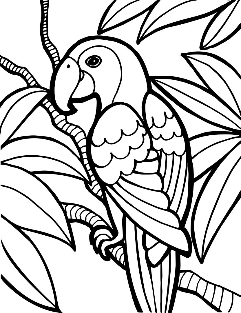Printable Bird Coloring Sheet