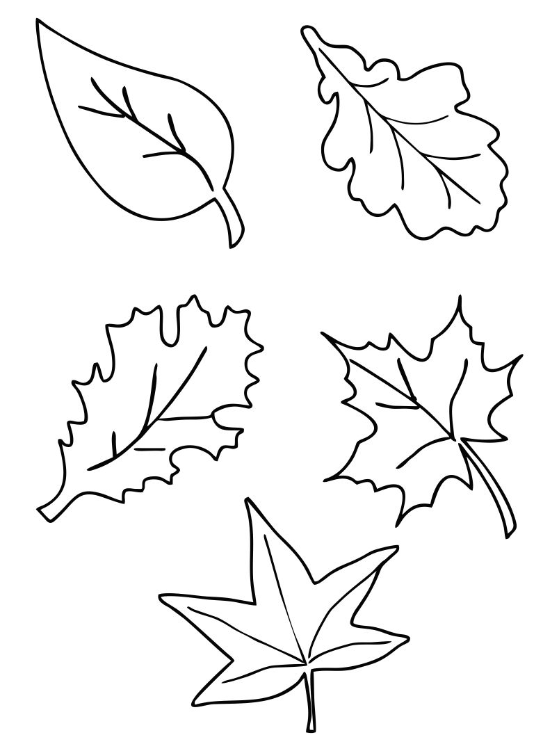 Fall Leaves Templates 10 Free PDF Printables Printablee