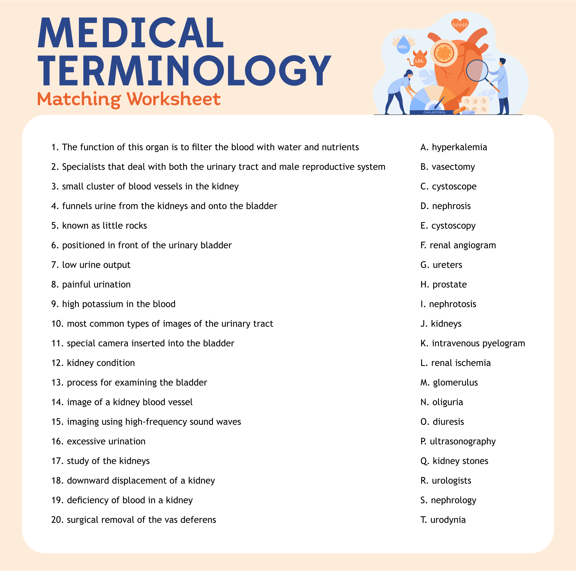 Medical Terminology Worksheets