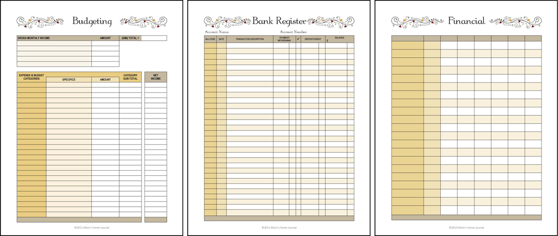 Financial Budget Planner